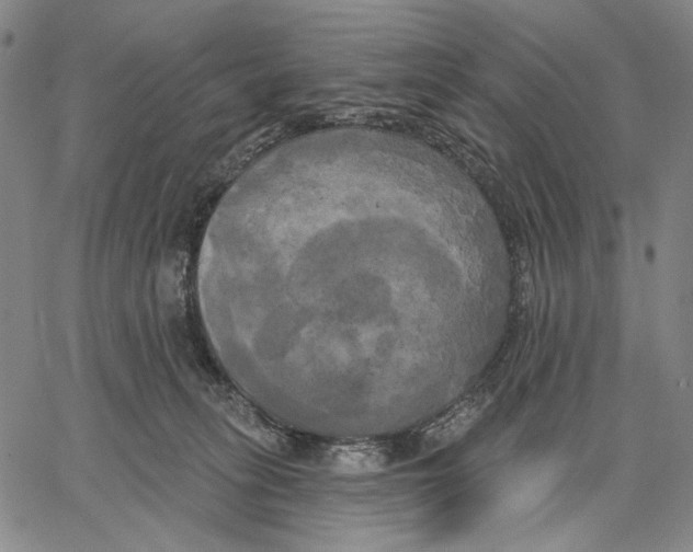 X0000067390275200604211641