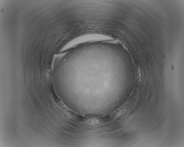 X0000067390276200604211641