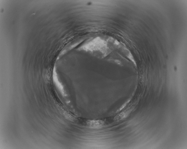 X0000067390277200604211641