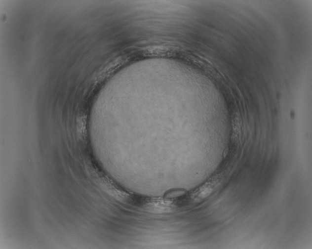 X0000067390278200604211641