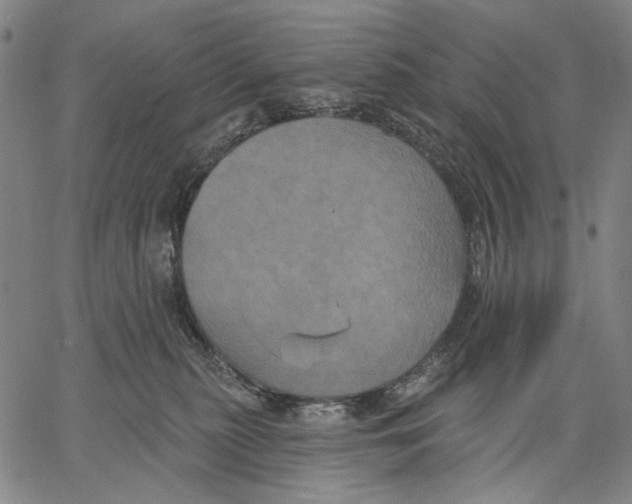 X0000067390279200604211641