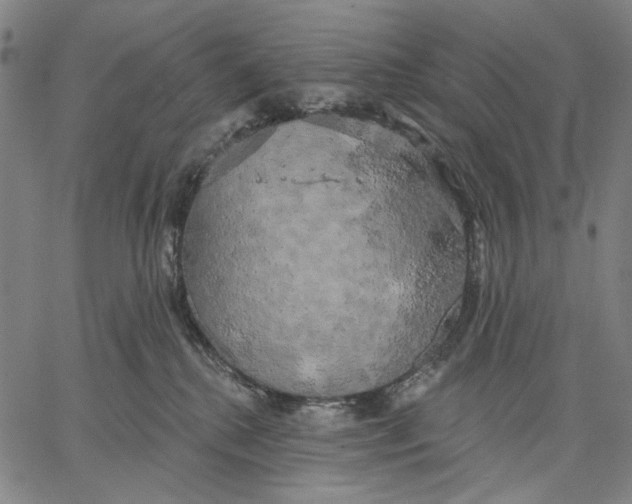 X0000067390280200604211641