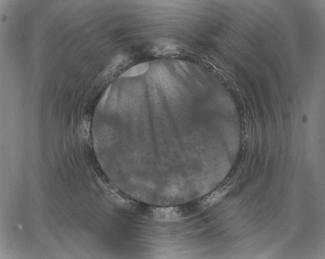 X0000067390281200604211641