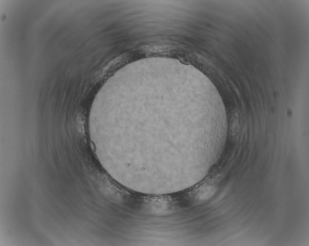 X0000067390282200604211641