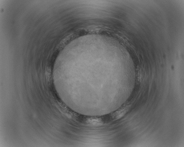 X0000067390283200604211641