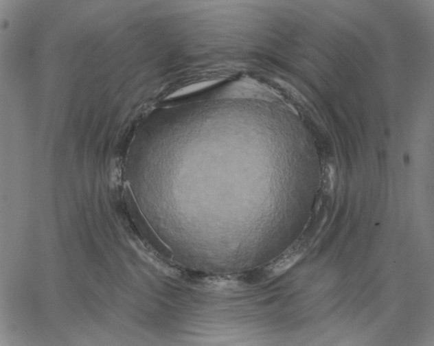 X0000067390284200604211641