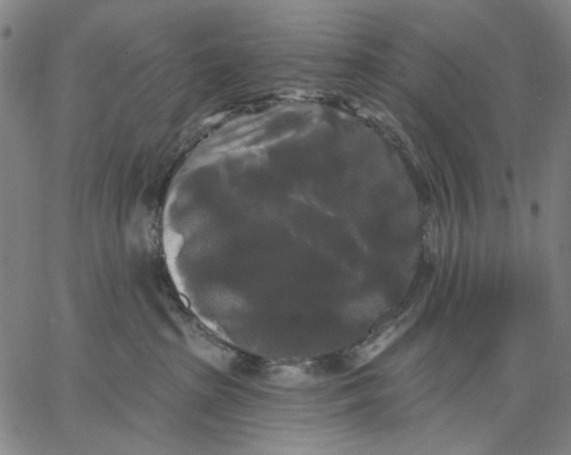 X0000067390285200604211641