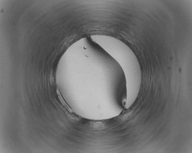 X0000067390287200604211641