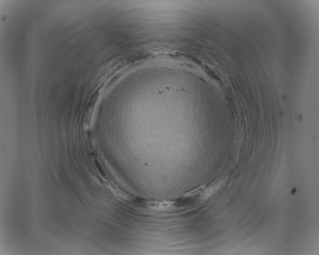 X0000067390288200604211641