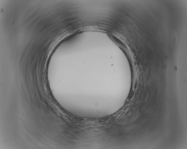 X0000067390289200604211640