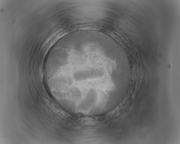 X0000067390290200604211640