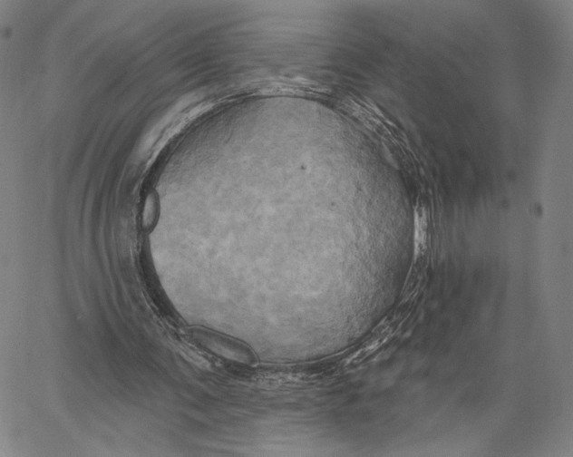 X0000067390291200604211640