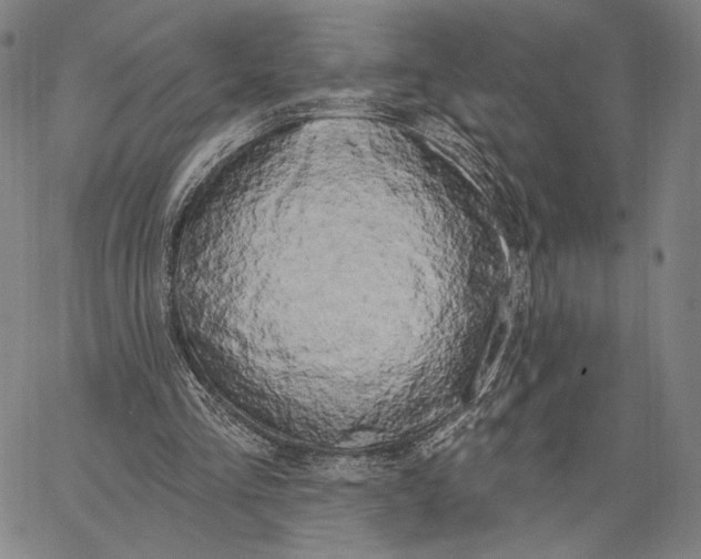 X0000067390293200604211640