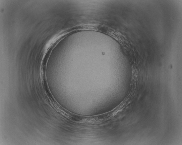 X0000067390294200604211640