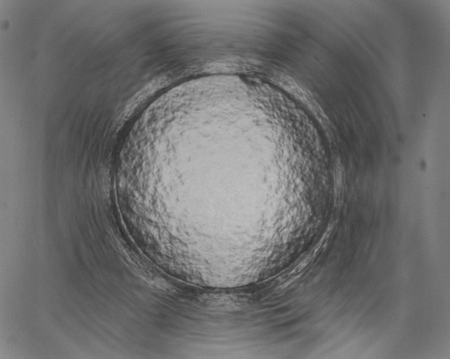 X0000067390297200604211640