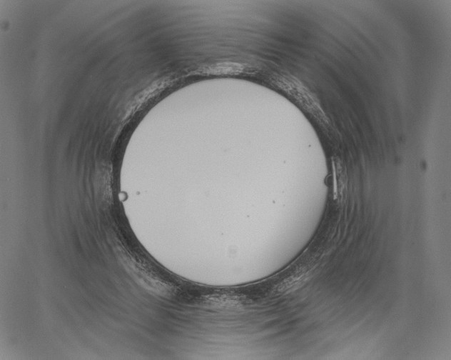 X0000067390300200604211640