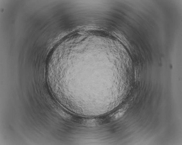 X0000067390301200604211640