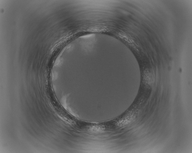 X0000067390303200604211640