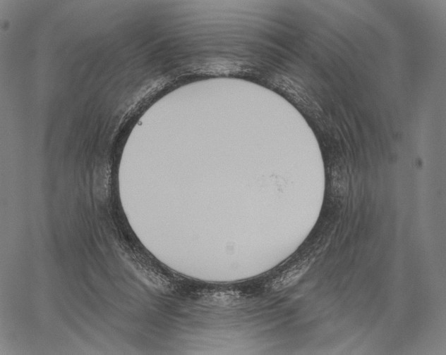 X0000067390304200604211640