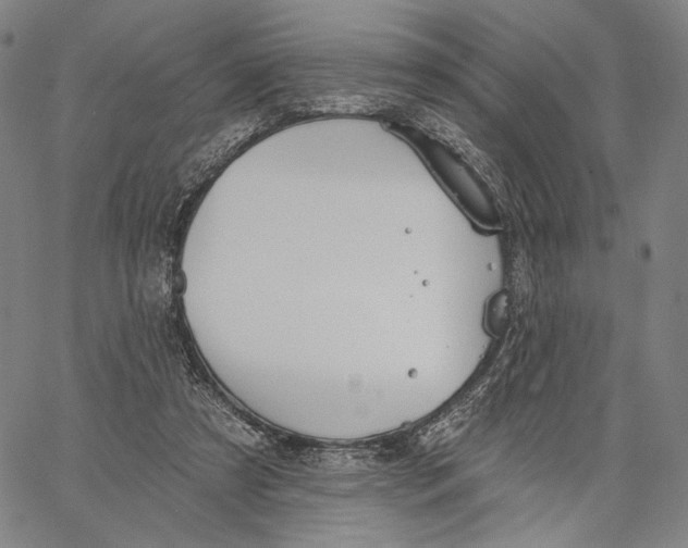 X0000067390305200604211640