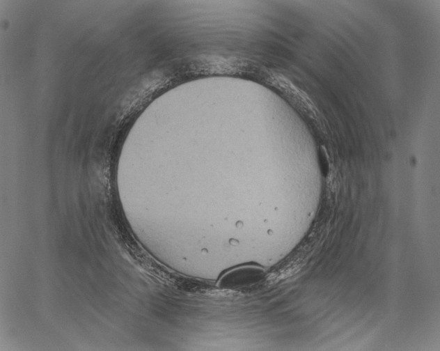 X0000067390306200604211640