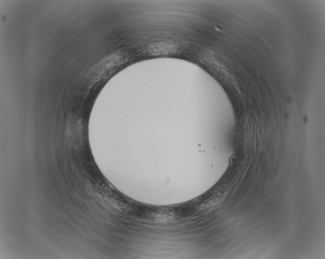 X0000067390308200604211640