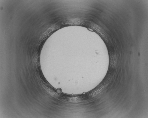 X0000067390309200604211640