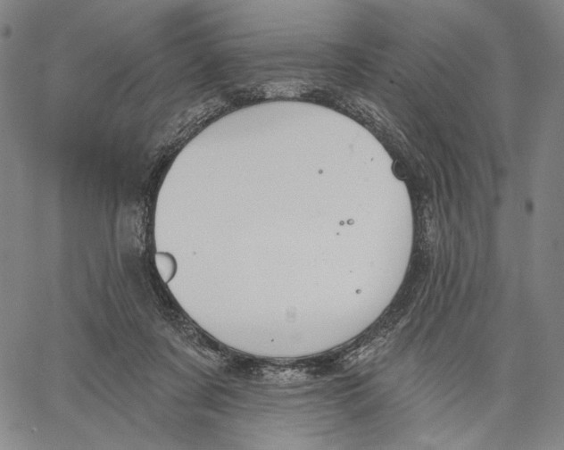 X0000067390311200604211640