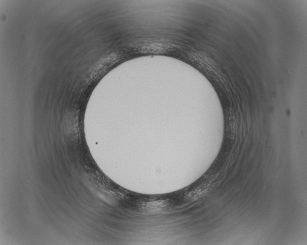 X0000067390312200604211640