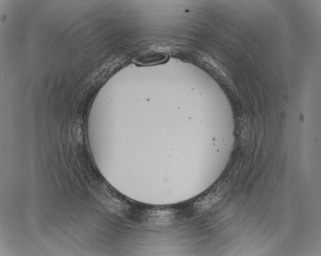 X0000067390313200604211640