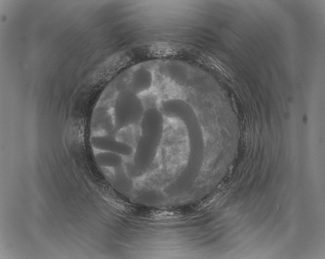 X0000067390315200604211640