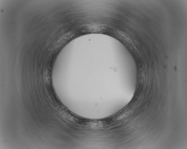 X0000067390317200604211640