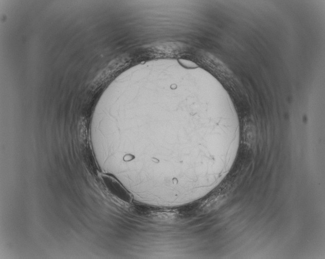 X0000067390318200604211640