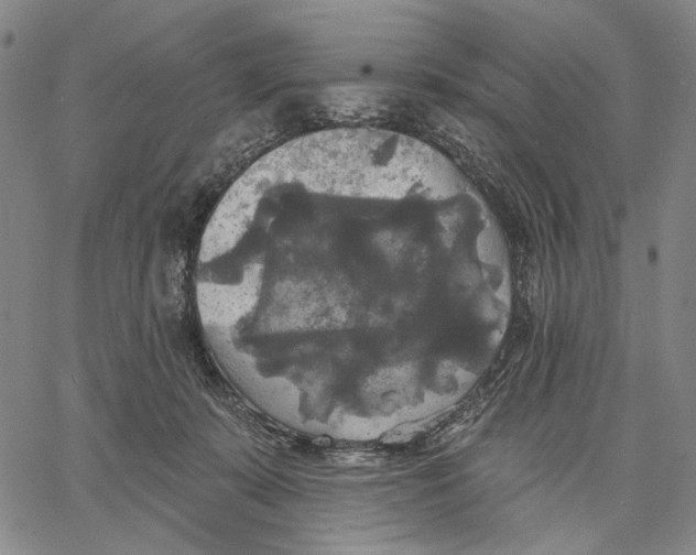 X0000067390319200604211640