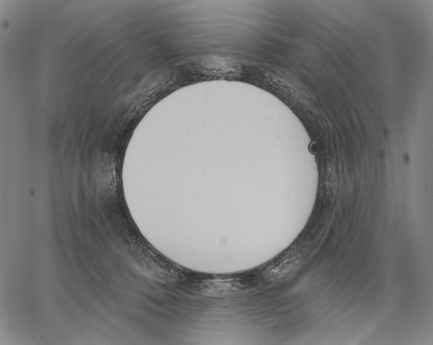 X0000067390320200604211640