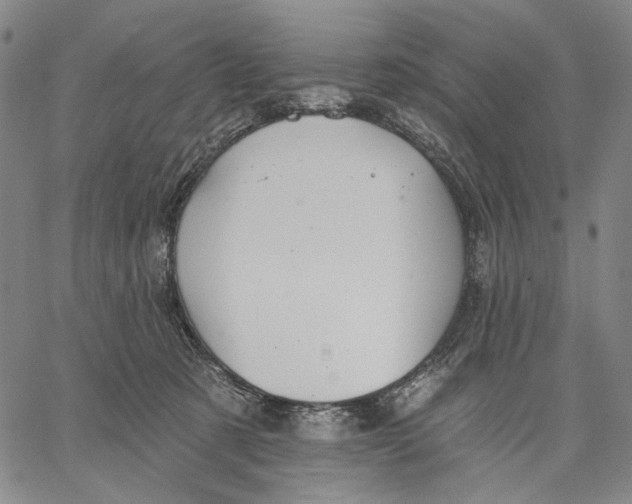 X0000067390321200604211640