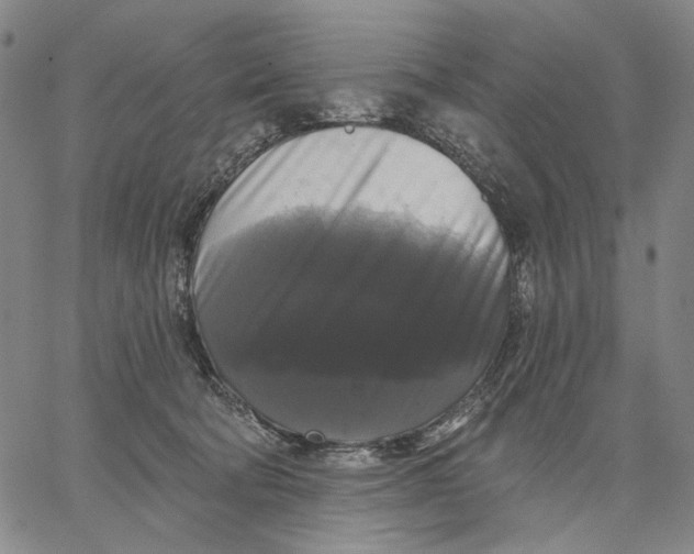 X0000067390322200604211640