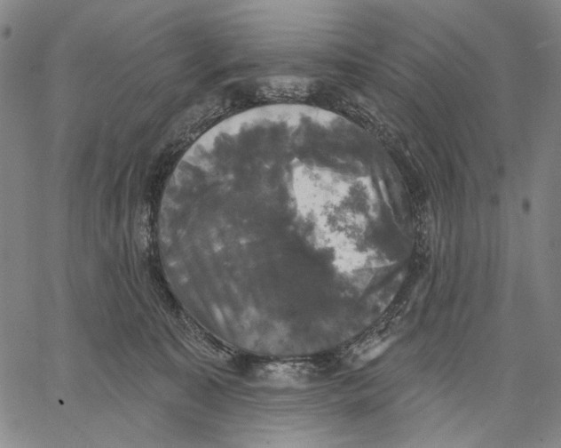 X0000067390323200604211640