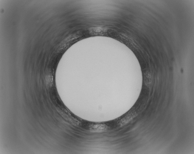 X0000067390324200604211640