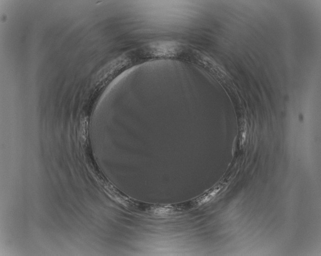 X0000067390325200604211640