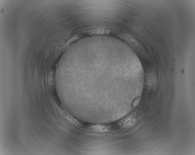 X0000067390326200604211640