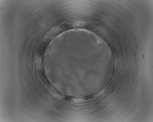 X0000067390327200604211640