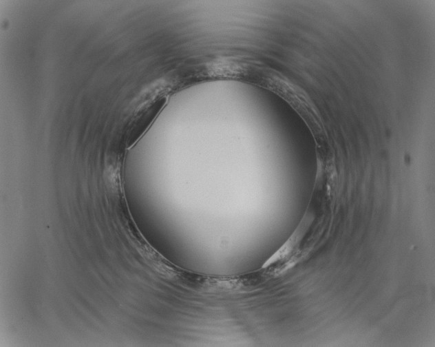 X0000067390329200604211640