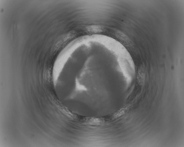 X0000067390330200604211640