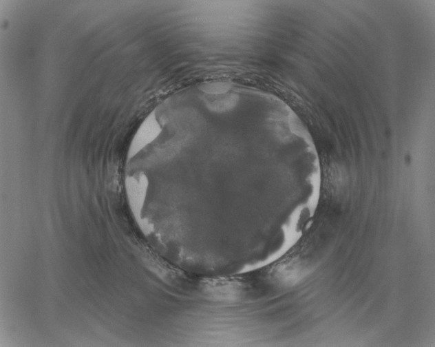 X0000067390331200604211640