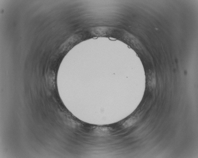 X0000067390332200604211640