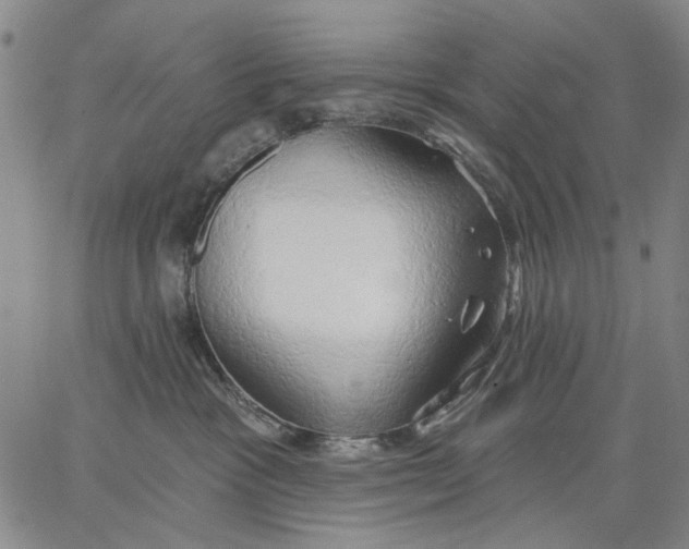 X0000067390333200604211640