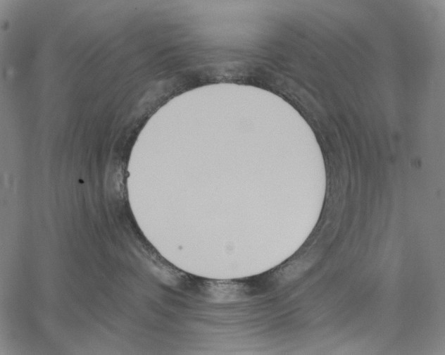 X0000067390336200604211640