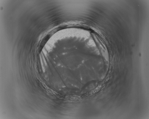 X0000067390337200604211639