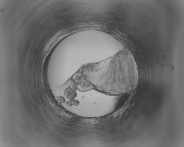 X0000067390339200604211639